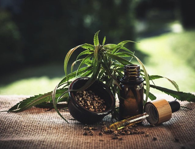 CBD SEO 2023 online