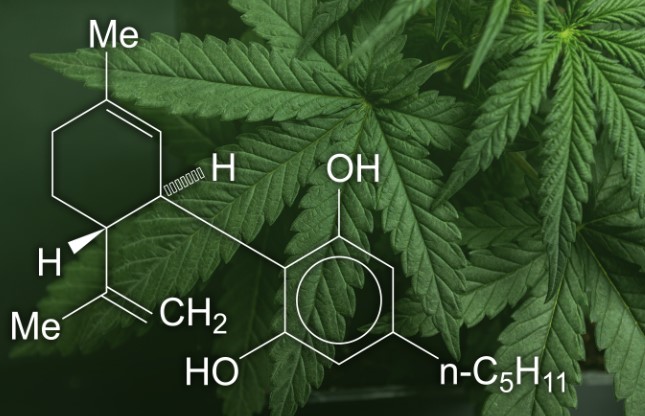 CBD SEO 2023